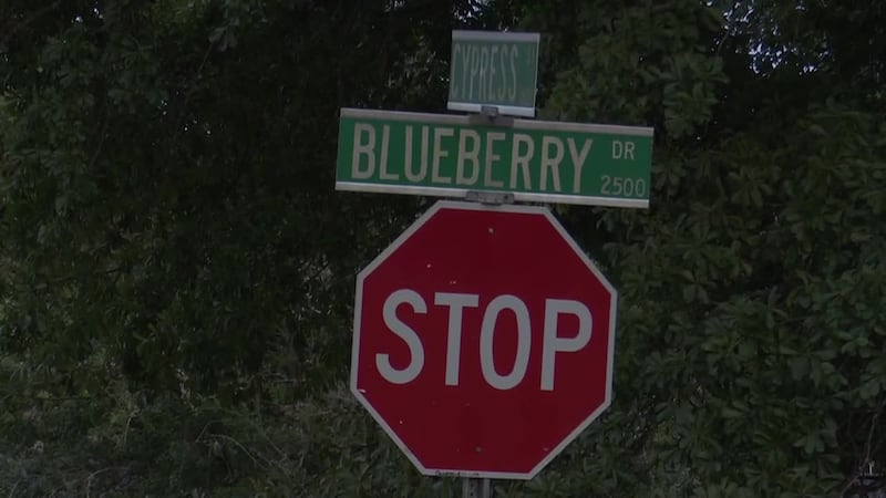 A driver is in custody after leading Richmond County deputies on a chase that ended in a...