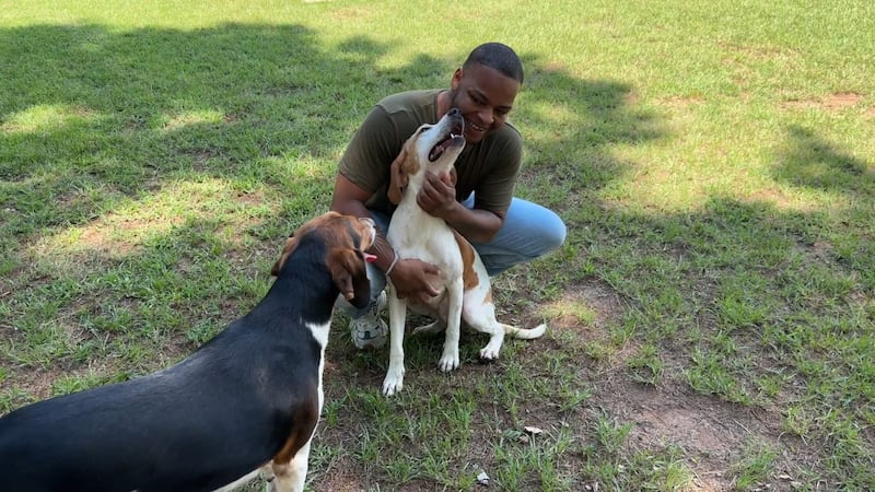 Two dogs rescued from a mass animal cruelty case in Georgetown County, South Carolina, are now...