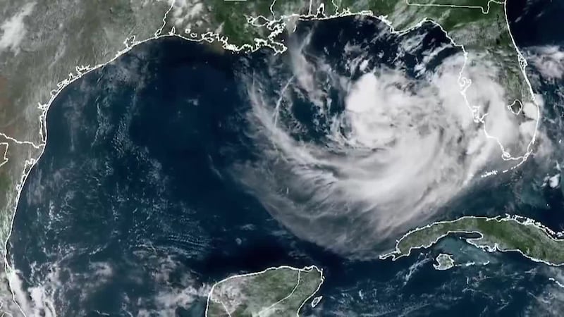 Bertha is forecast to potentially hit parts of the Gulf Coast from Florida to Texas. (CNN,...
